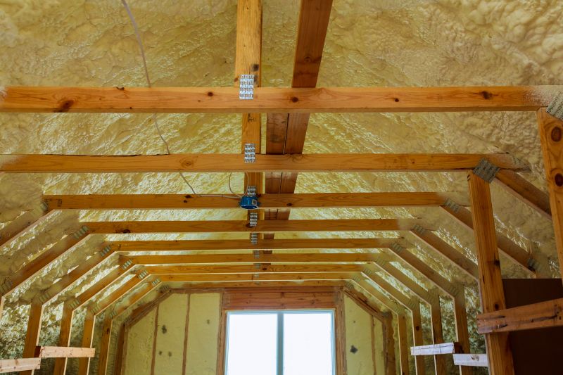 Rafter Insulation Installation in Bastrop, TX